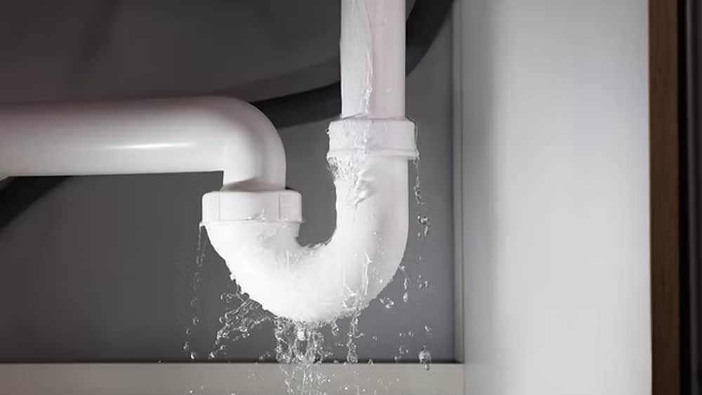 Comment reconnaître les premiers signes d’un problème de drainage